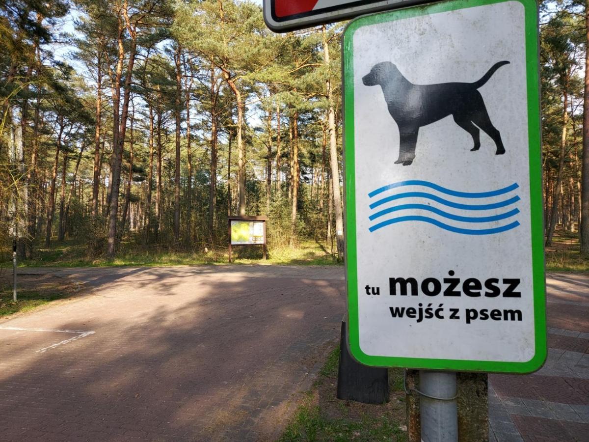 Dogs Welcome! Domek Na Zacisznej 博格泽利卡 外观 照片