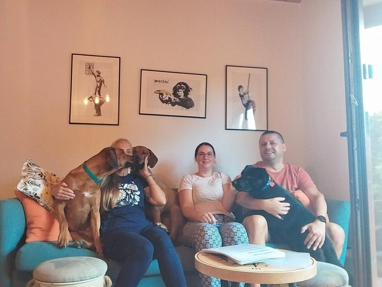 Dogs Welcome! Domek Na Zacisznej 博格泽利卡 外观 照片